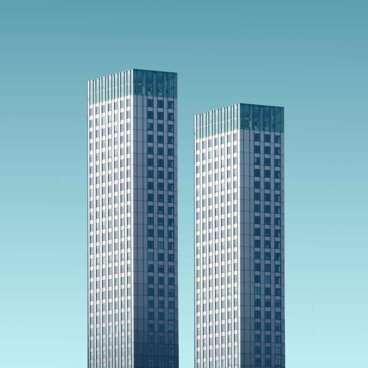 Suscribete a nuestros canales de difusión